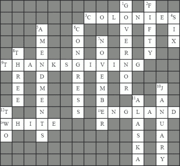 graphic of citizenship crossword puzzle solution